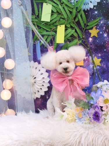 20250705あんちゃん